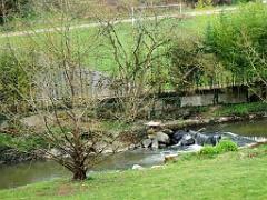 149 PARC ORIENTAL DE MAULEVIER MAINE ET LOIRE 2016 N0_000024